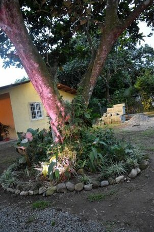 Hostal lopez el valle - Photo5