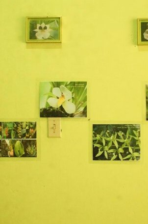 Hostal Orquidea - Photo4