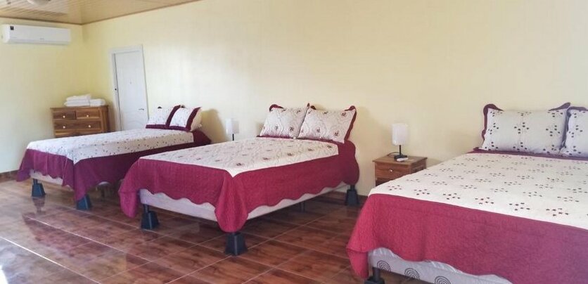 B&B Lodgings - Photo2