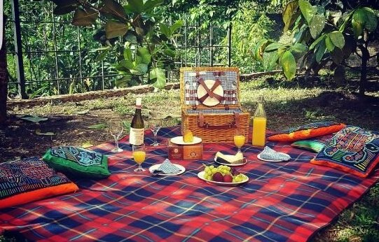 La Semilla Ecolodge - Photo4