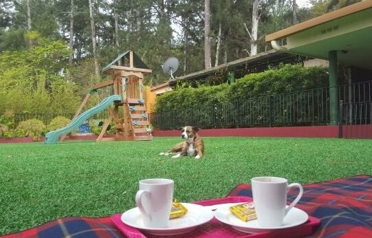La Semilla Ecolodge - Photo5