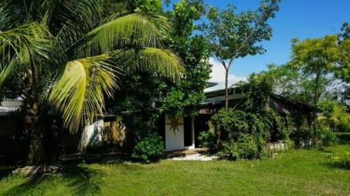 Hotel Hibiscus Garden
