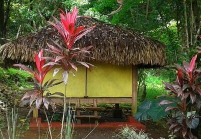 Tiki Lodge Bar & Restaurant