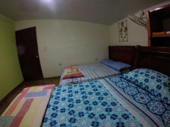 Hostel Bulaba - Photo2