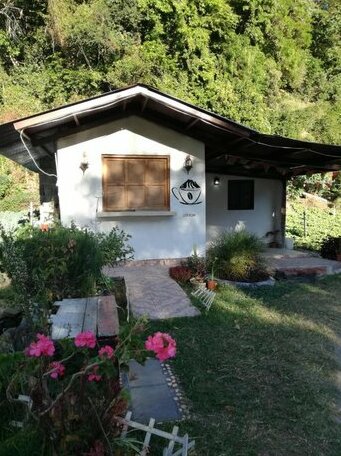 Bambito's Cafe & Hostel - Photo3