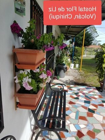 Hostal Flor De Liz - Photo4