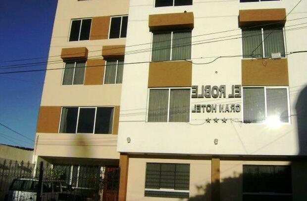 El Roble Gran Hotel - Photo2