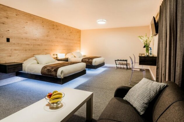 Hotel Viza - Photo4
