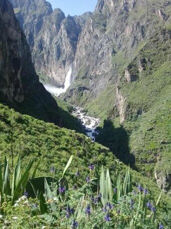 Fure Wassi Hostel - Photo2