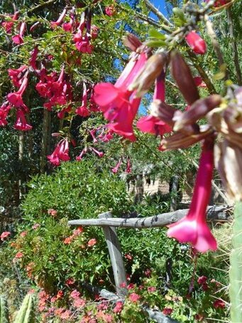 Quillapata Lodge - Photo2