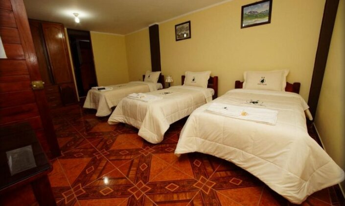 Hostal Anita - Photo4