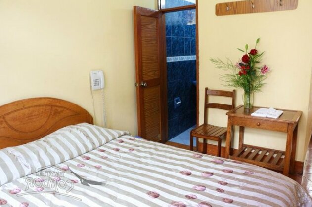 Hostal Alameda - Photo5