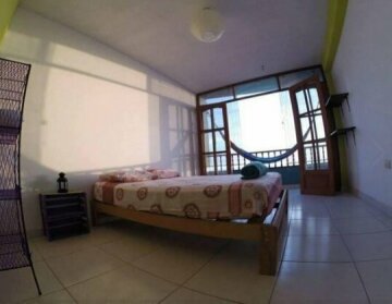Frogs Chillhouse Hostel