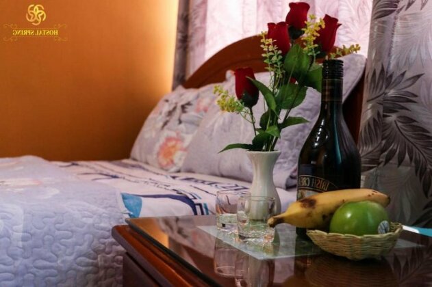 Hostal Spring II - Photo2