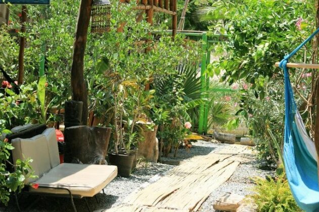 Banana's Adventure Hostel - Photo5