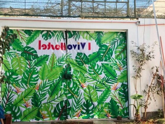 I Vivo Hostel - Photo2