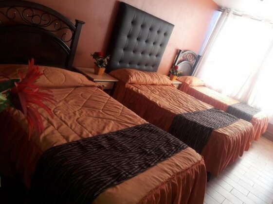 Los Apus Mayaki - Photo4
