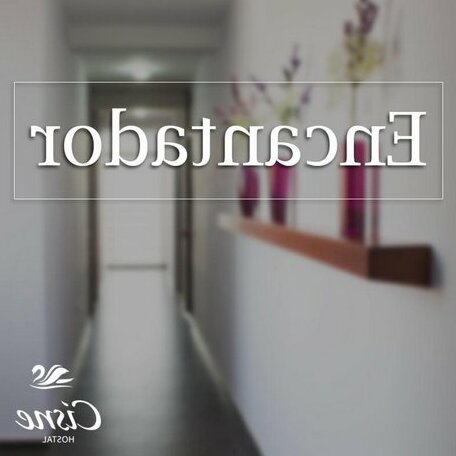 Hostal Cisne - Photo2