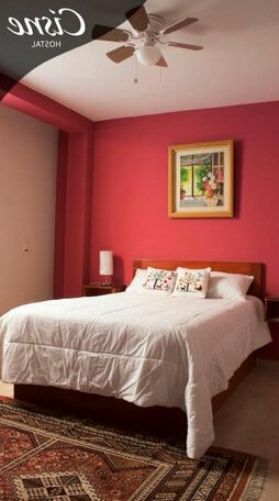 Hostal Cisne - Photo5
