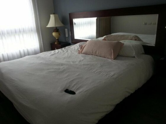 Nouvel - Photo3