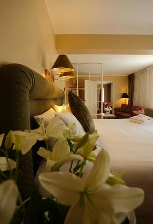 Suites del Bosque Hotel - Photo5