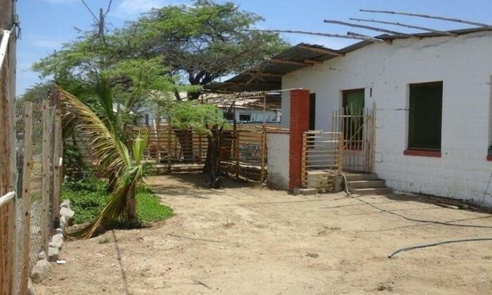 Lobowasi - Photo2