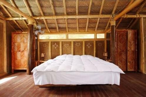 Eco House - Photo5
