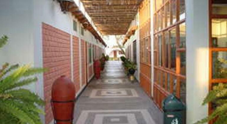 Hotel San Marcelo - Photo3
