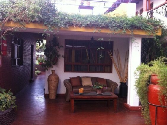 Oro Viejo - Photo3