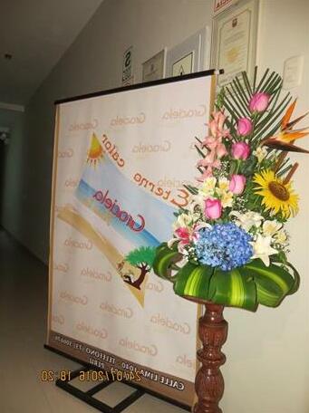 Graciela Hostal Inn - Photo4