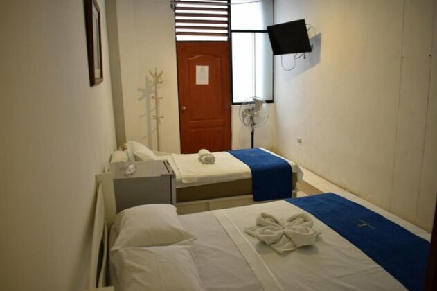 Gran Oasis - Photo3