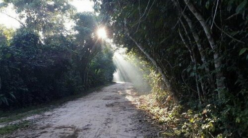 Jene Shobo Ecolodge Amazonico