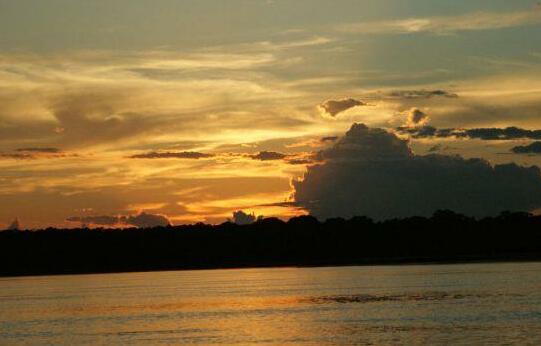 Amazon Planet - Photo4