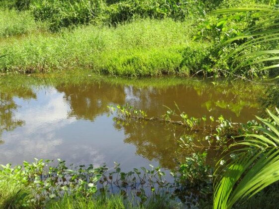 Arapaima Amazon Hostel - Photo2