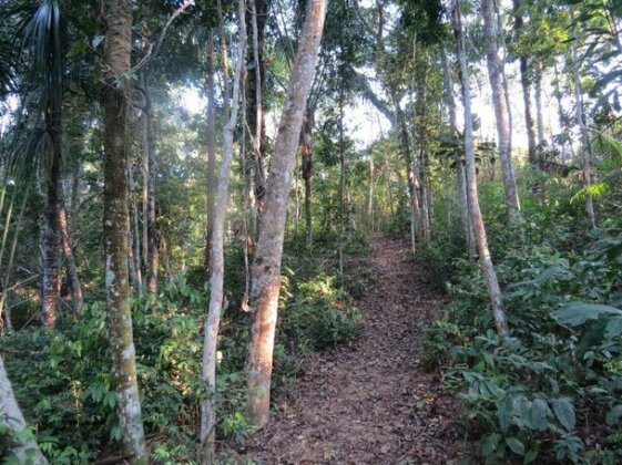 Arapaima Amazon Hostel - Photo3