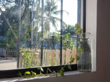 Bird House Casa de Aves