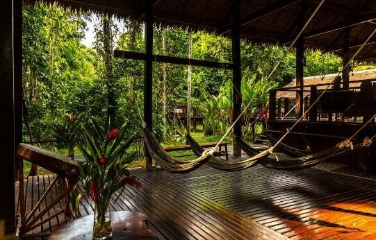 Posada Amazonas Lodge - Photo4