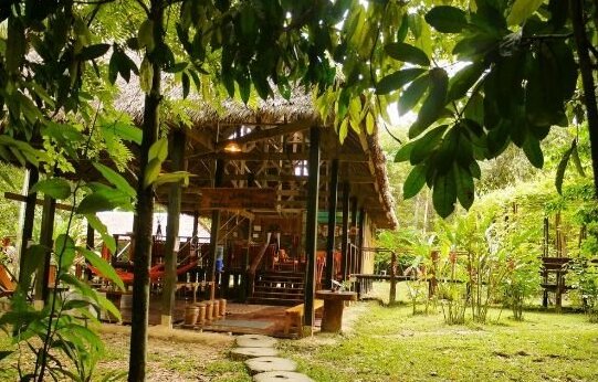 Posada Amazonas Lodge - Photo5