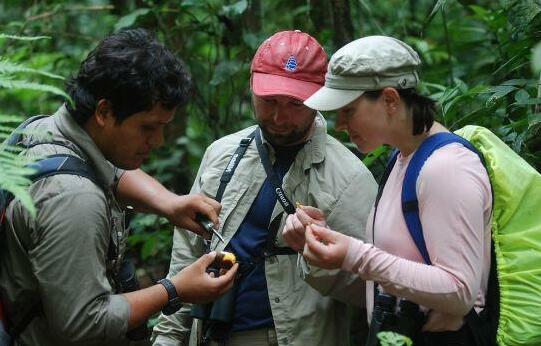 Refugio Amazonas Lodge - Photo2