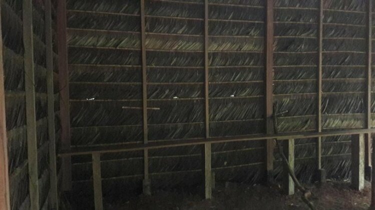 River Amazonas hostel - Photo3