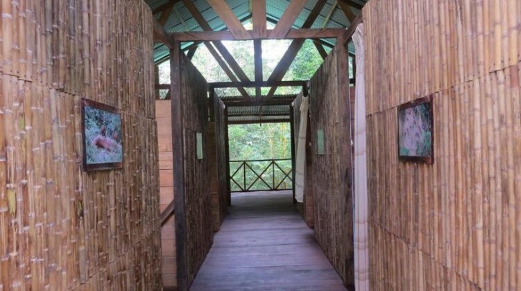 River Amazonas hostel - Photo4