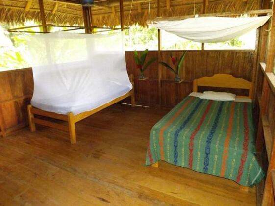 Tambopata Amazon Peru - Photo2
