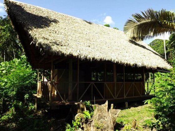 Tambopata Amazon Peru - Photo4