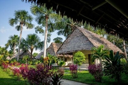 Irapay Amazon Lodge