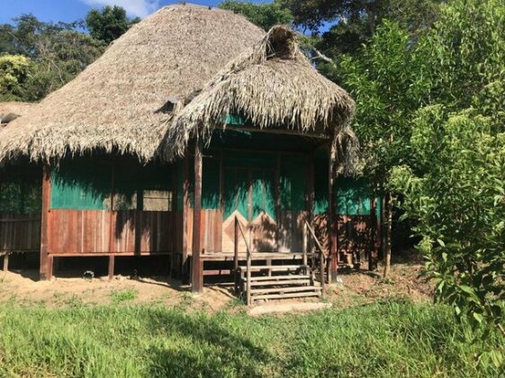 Ayahuaska - Photo4