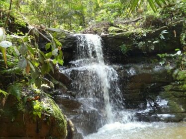 Qasikay Selva Lodge