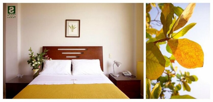 Hostal Oro Negro - Photo4