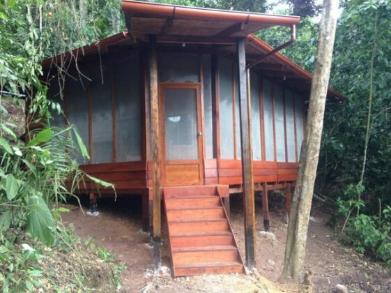 La Musa Verde - Photo2