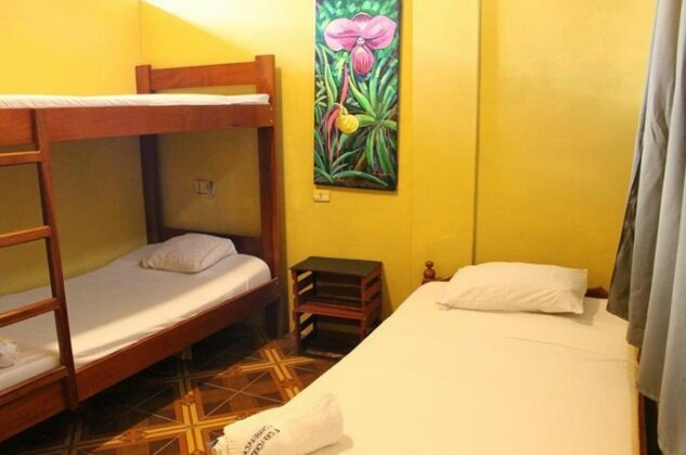 Sachahuasca Backpacker