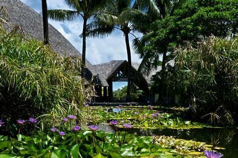 Le Meridien Bora Bora - Photo4